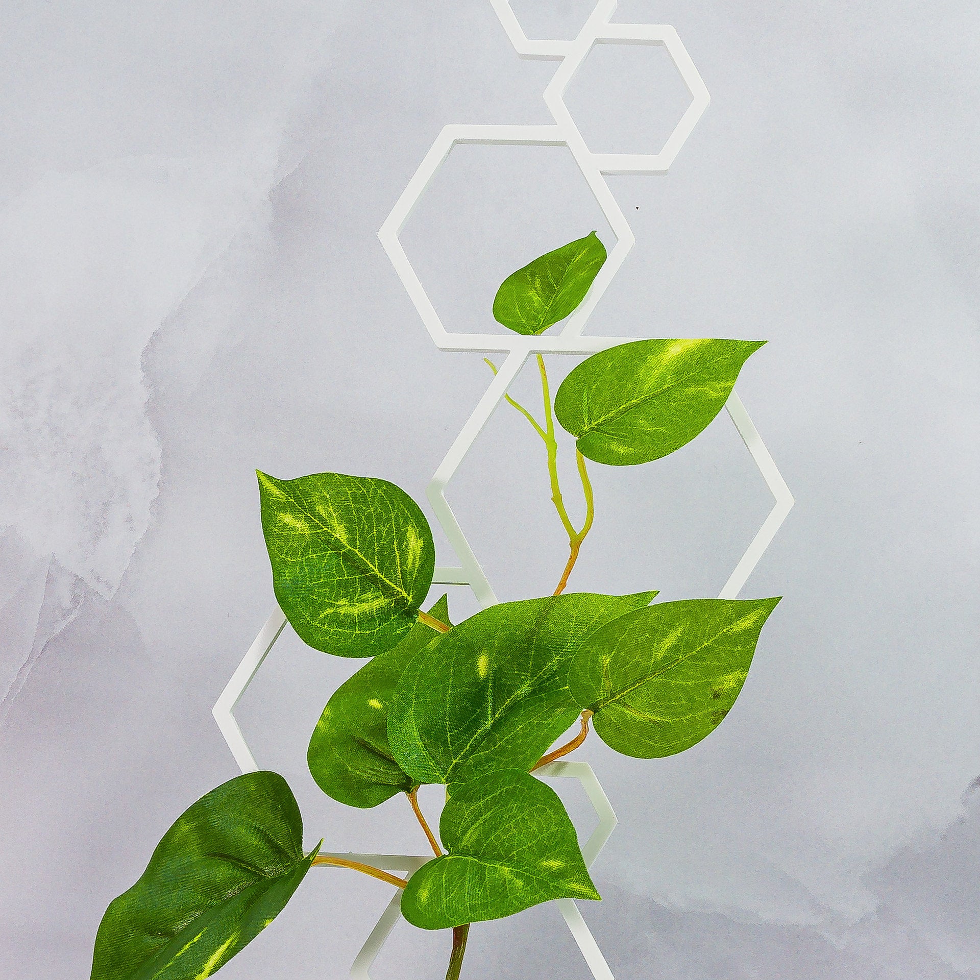 "Close-up of WHITE Hexagons Trellis Spike with climbing plant, highlighting crisp hexagonal pattern."
