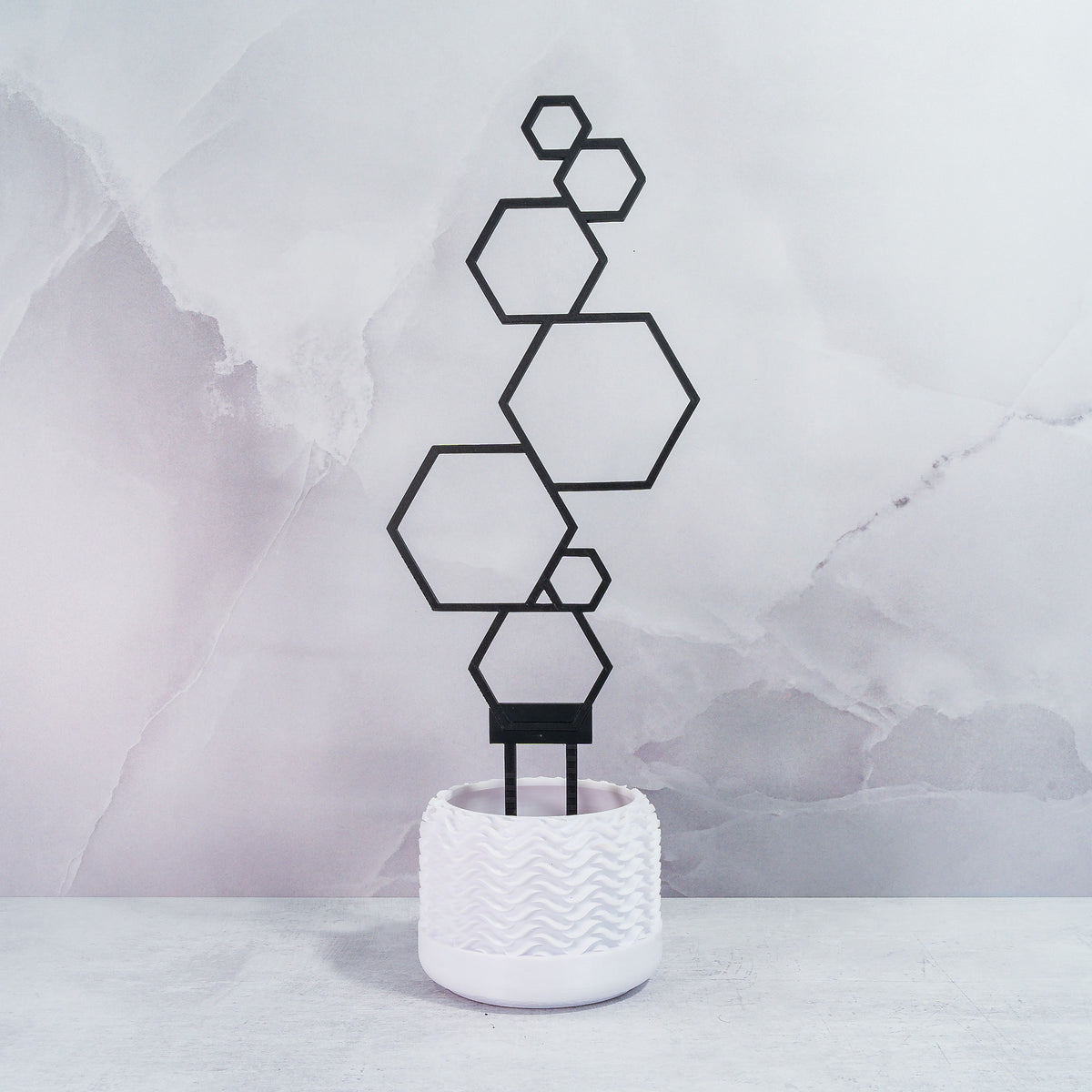 "Front-facing CARBON Hexagons Trellis Spike, showcasing edgy geometric structure without plants."
