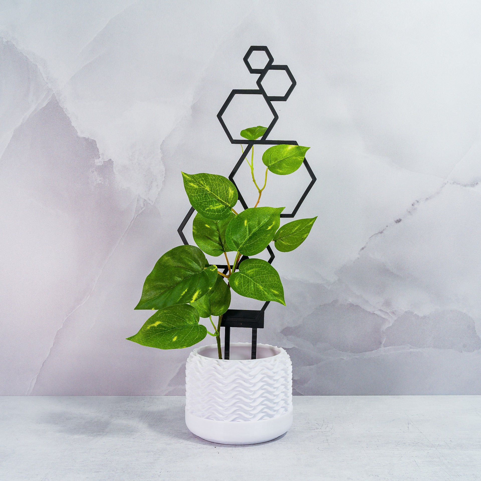 "CARBON Hexagons Trellis Spike with climbing plant winding through its modern design, front view."
