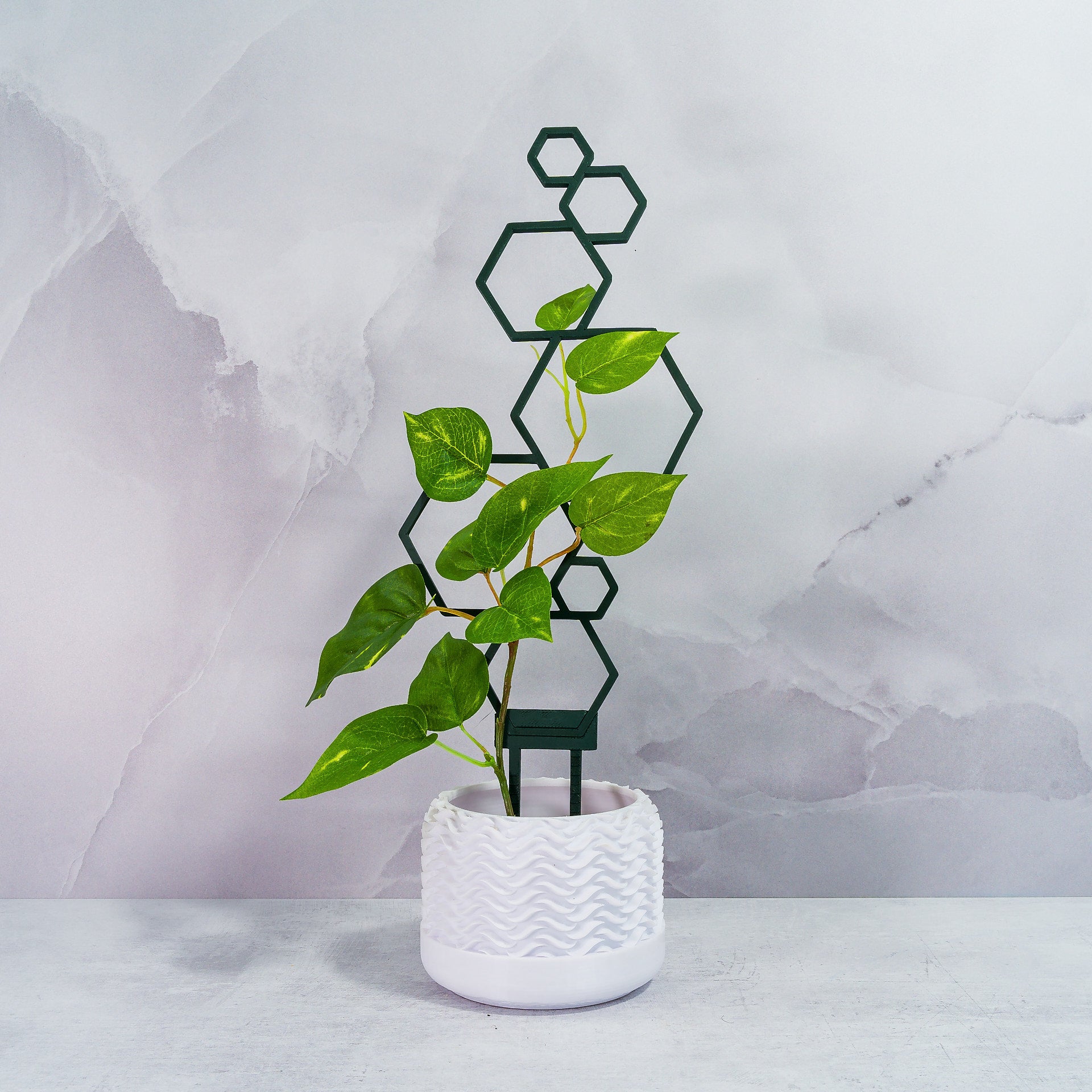 "FOREST GREEN Hexagons Trellis Spike supporting a vibrant climbing plant, front-facing image."
