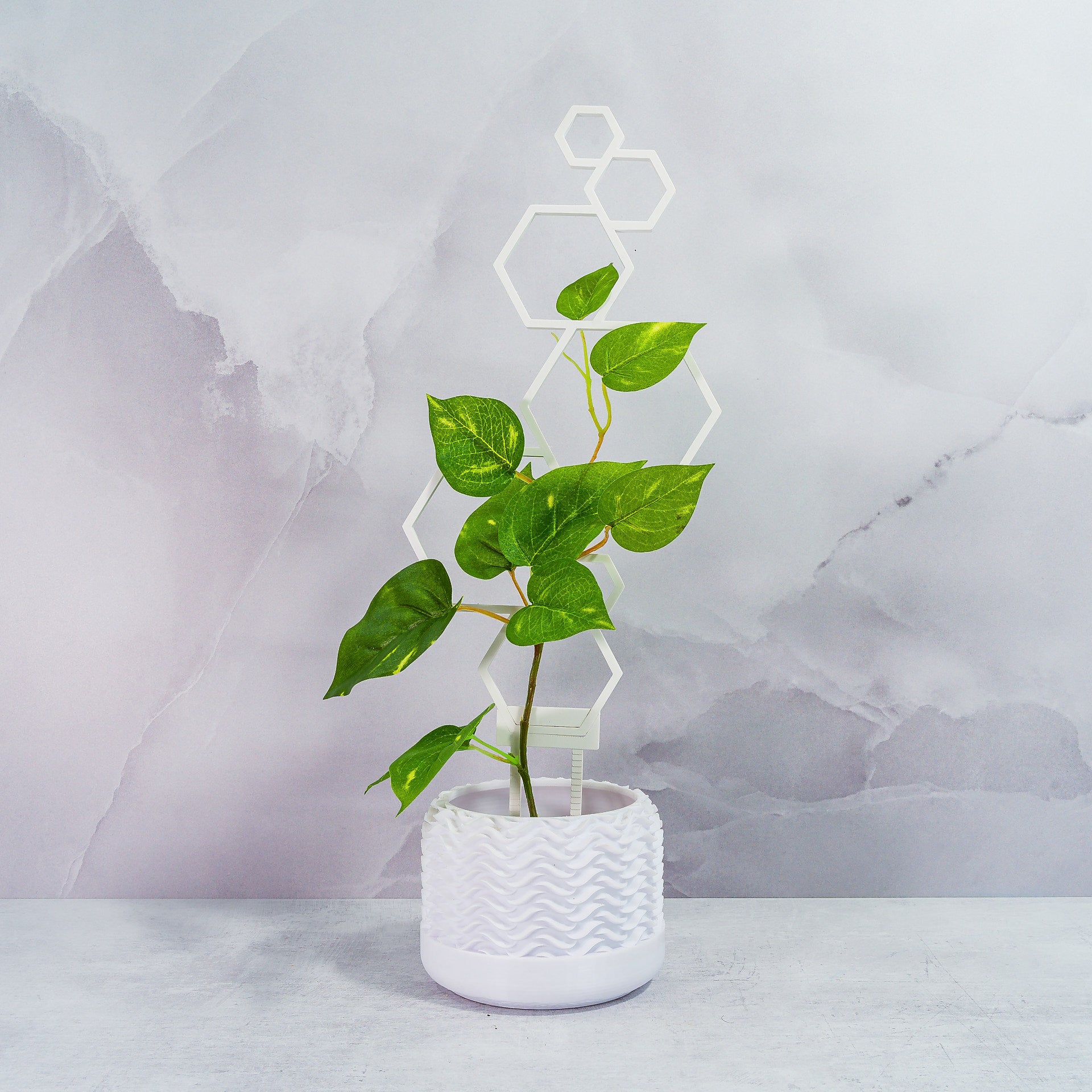 "WHITE Hexagons Trellis Spike elegantly supporting a climbing plant, front-facing image."
