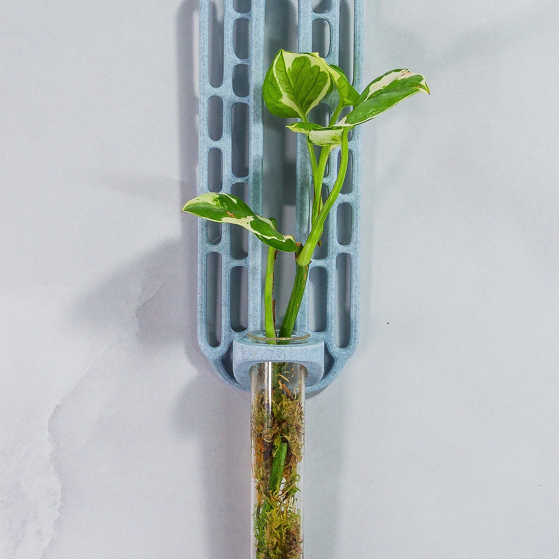 "Close-up front-facing view of MARBLE Wall Propagation unit with live moss and a plant cutting in the clear tube."
