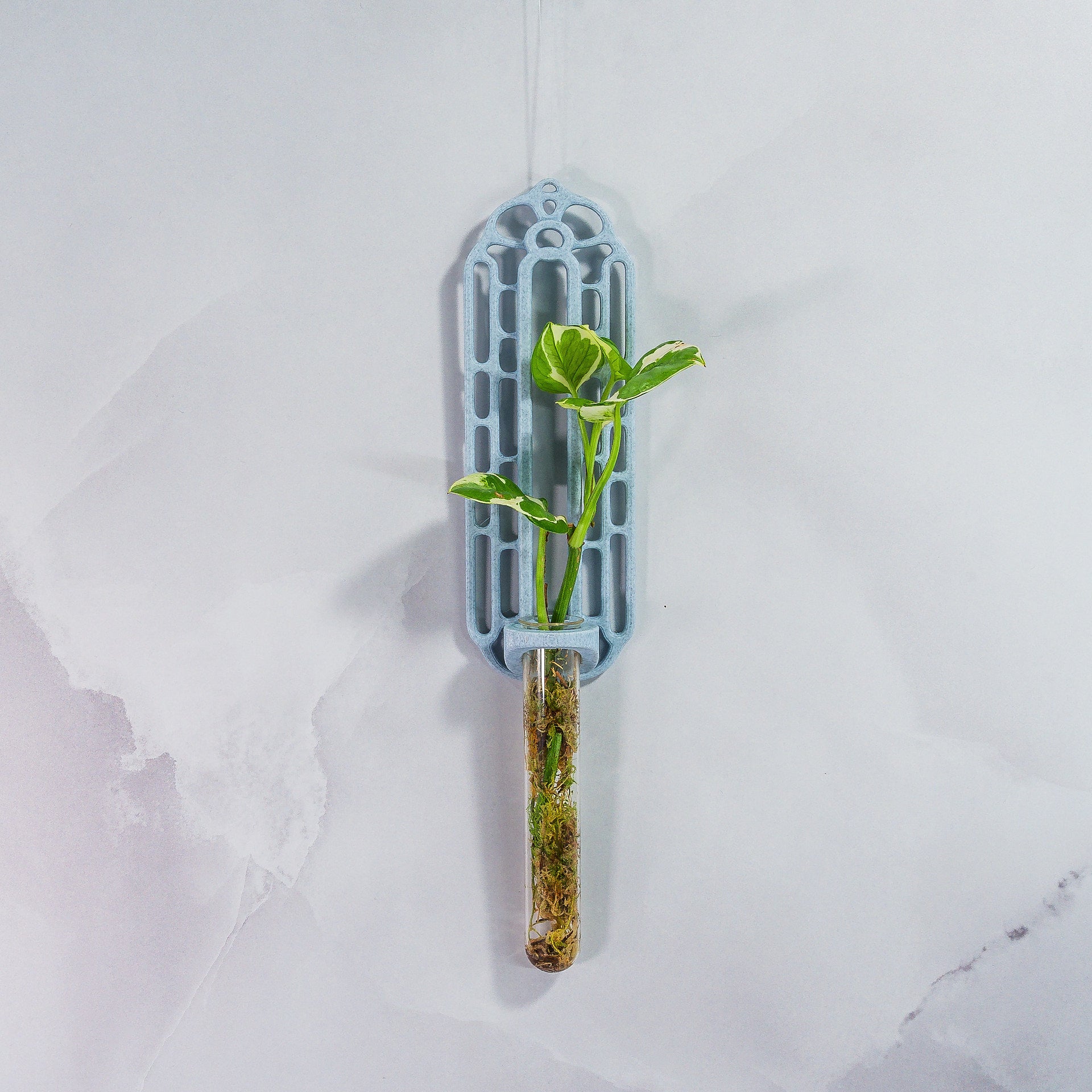 "Front view of MARBLE Wall Propagation unit filled with live moss and a plant cutting in the clear tube."
