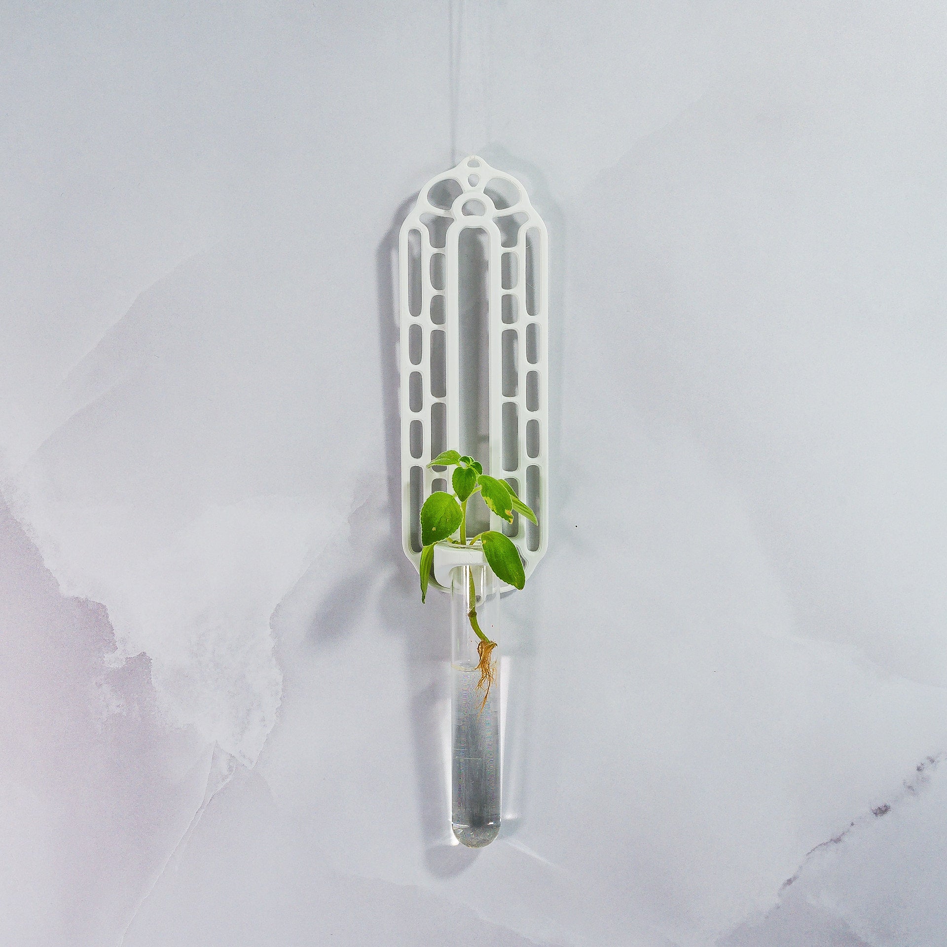 "Front view of MATTE WHITE Wall Propagation unit with a plant cutting displayed in the clear tube."
